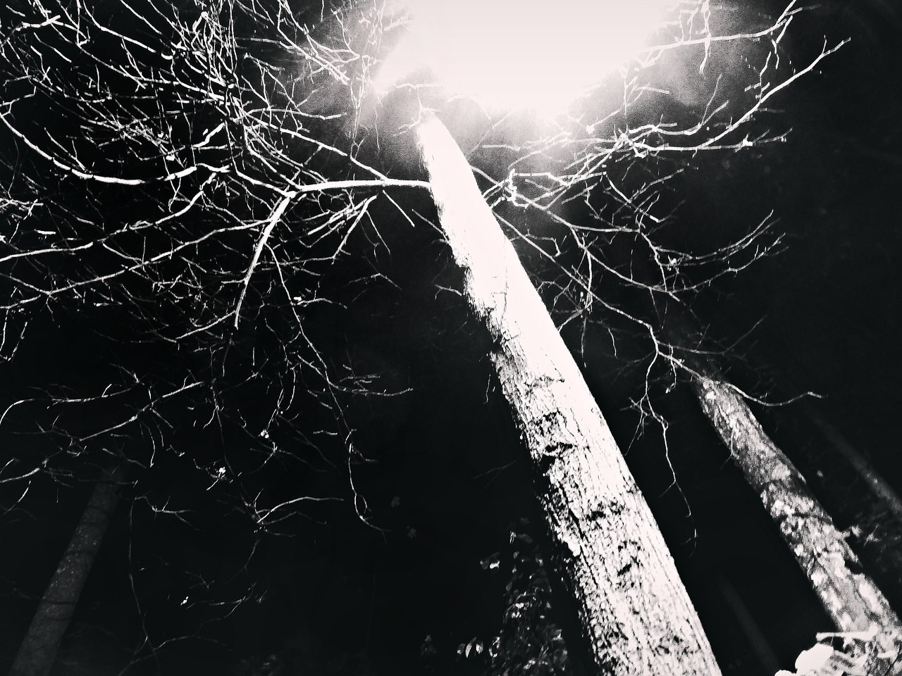 Мои первые работы. Фотограф из Москвы — DASHA NOVA | Авторская фотография в разных жанрах