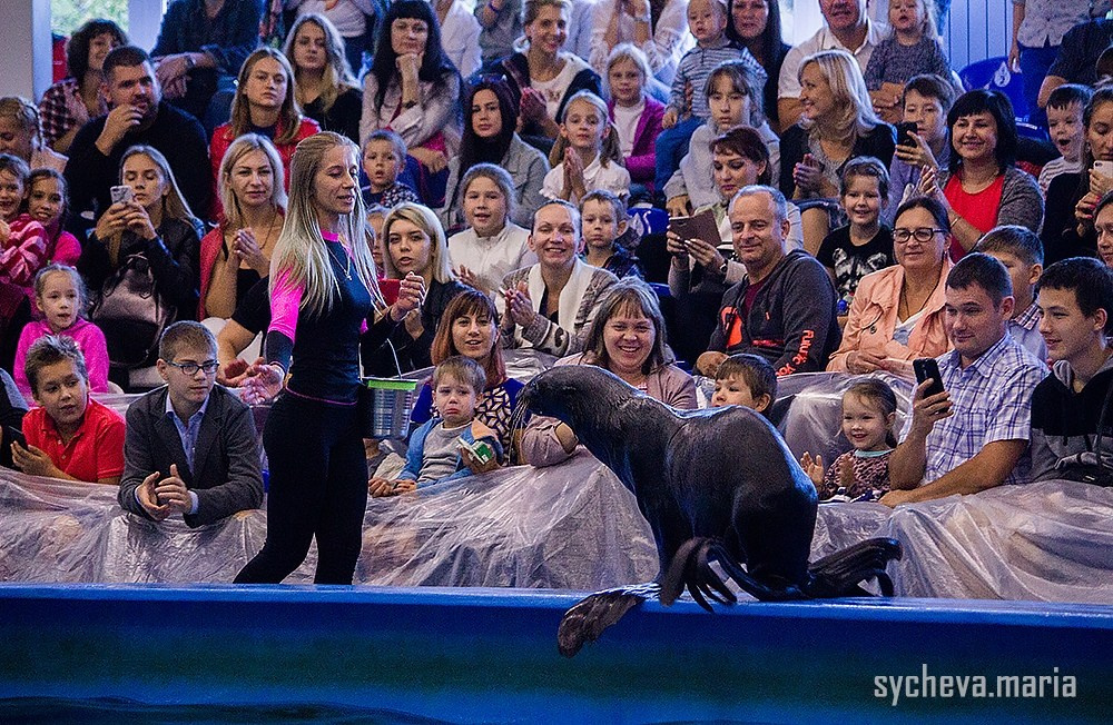 Дельфинарий. Детский и семейный фотограф, фотограф мероприятий Нижний Новгород