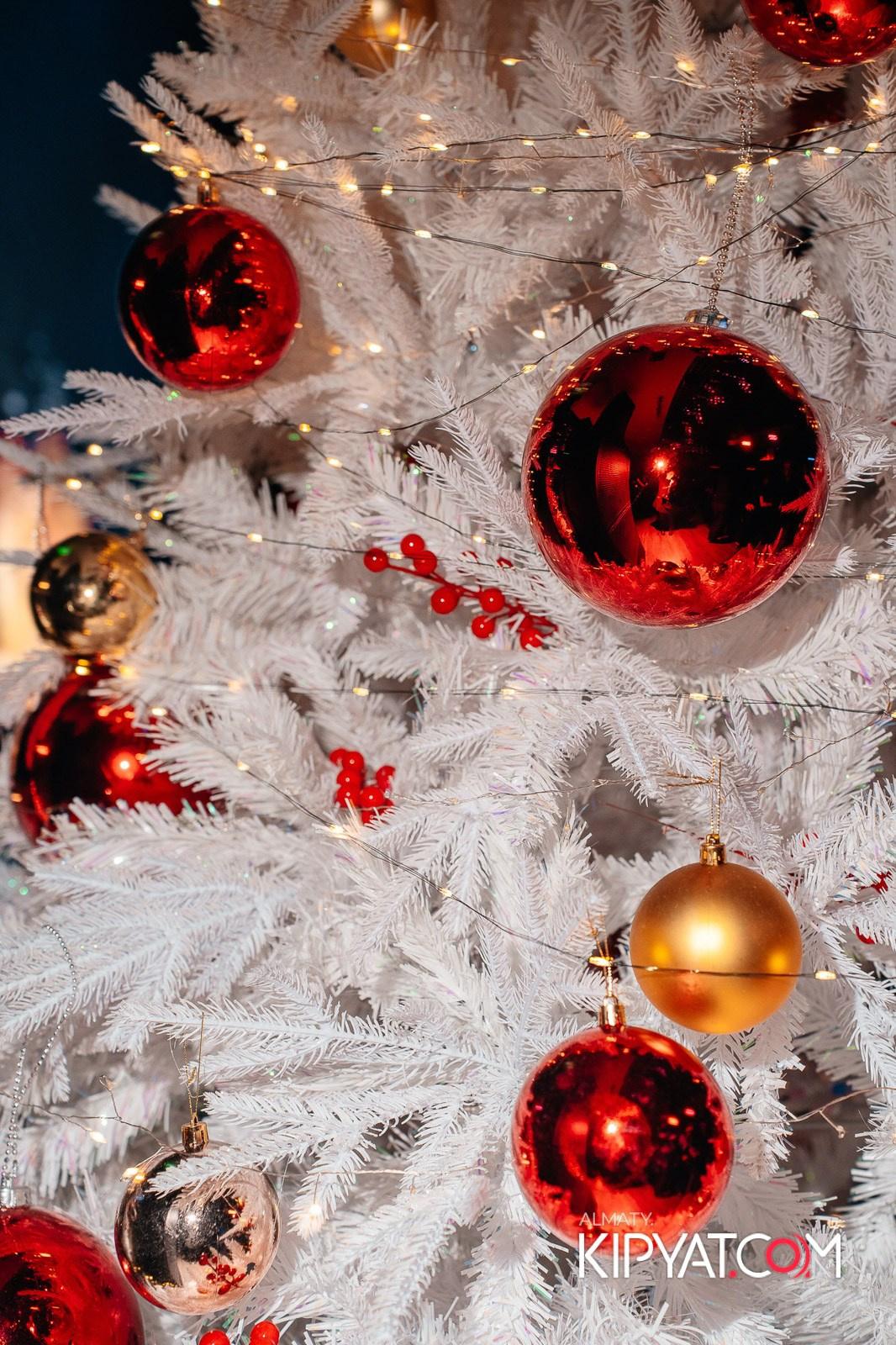 УХО И МЕДВЕДЬ НА КУРМАНГАЗЫ. КИПЯТКОМ АЛМАТЫ!