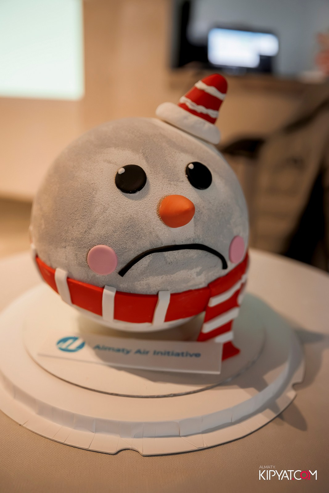 ИТОГИ 2025 ГОДА ALMATY AIR INITIATIVE. КИПЯТКОМ АЛМАТЫ! Фотосъемка мероприятий в Алматы