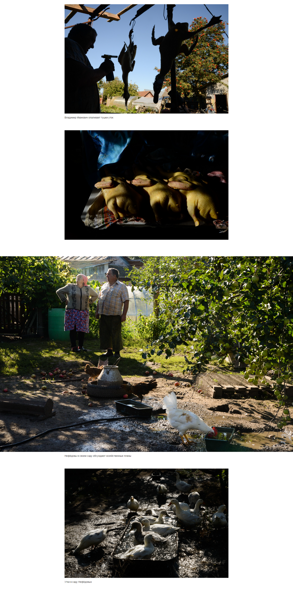 Les.media. Alyona Kochetkova | Photographer and photography educator