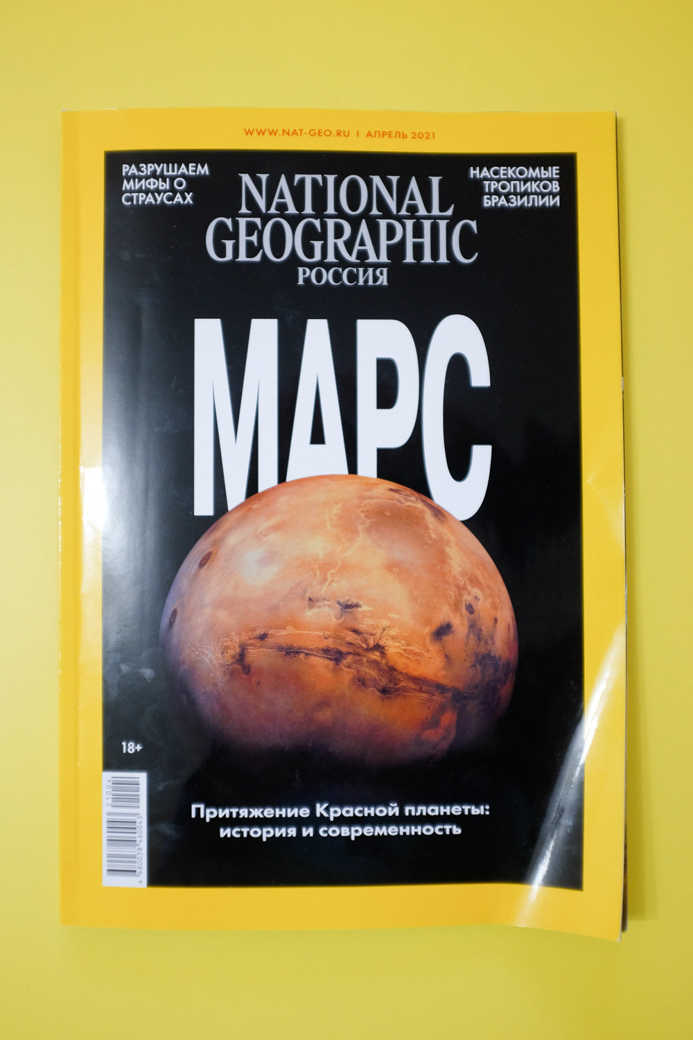 National Geographic Russia. Alyona Kochetkova | Photographer and photography educator