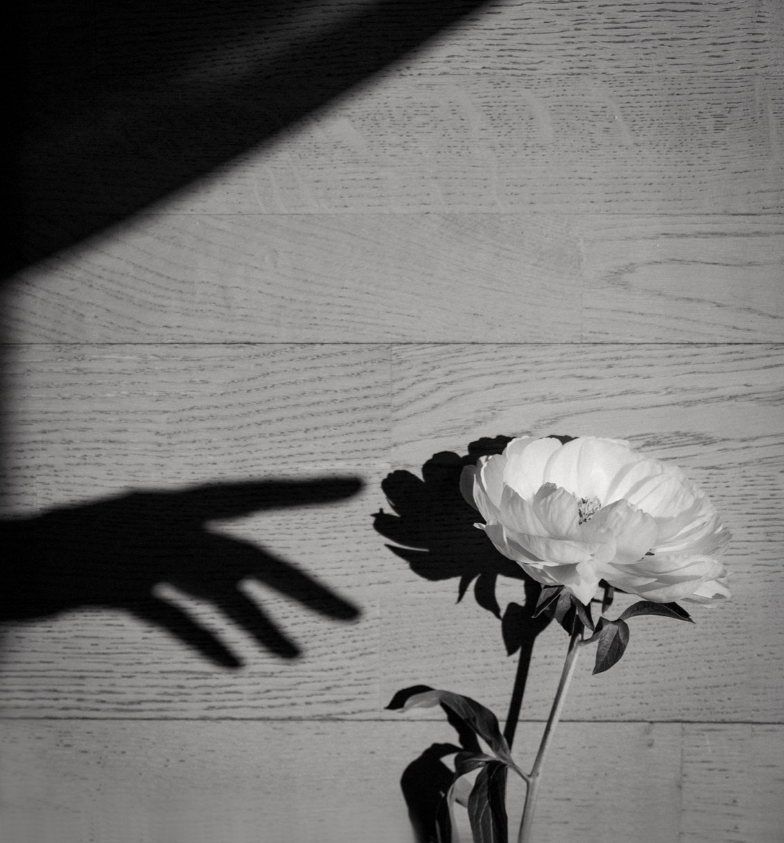 «Искусство XXI века» Краснодар. ARTEXPOPHOTO