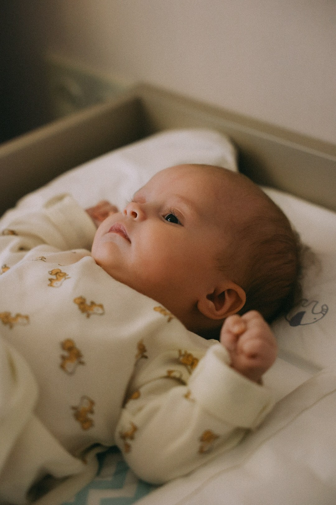 Family. Фотограф Нижний Новгород
