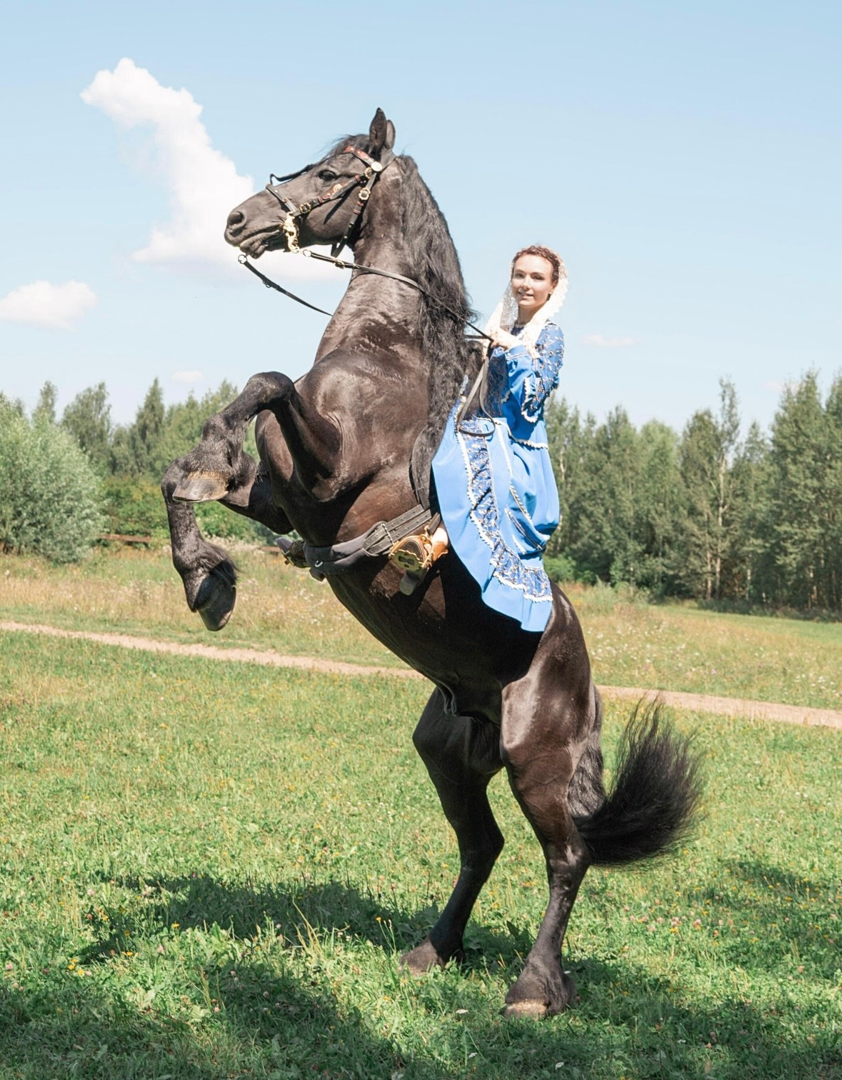 Лошадки Лето. Фотограф Зинаида Евдокимова