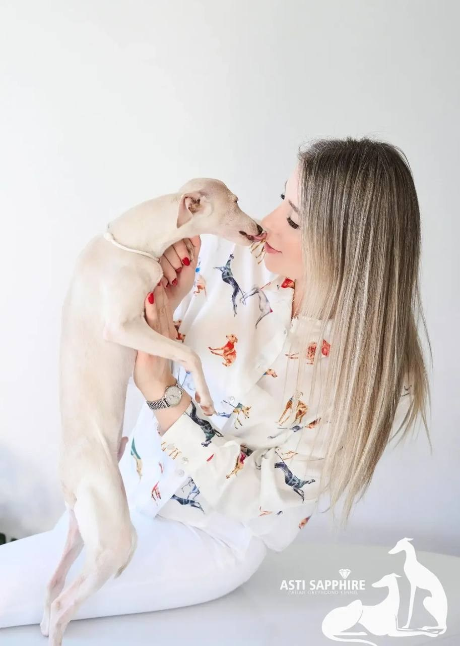 Asti Sapphire Zeus. Профессиональный питомник левреток РКФ/FCI ASTI SAPPHIRE 💎 Сочи|Санкт-Петербург