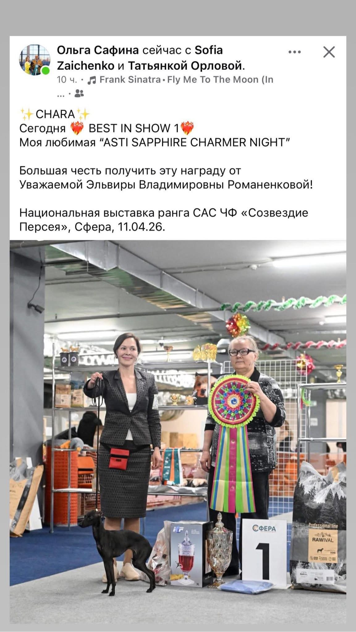 Несравненная Чара. Профессиональный питомник левреток РКФ/FCI ASTI SAPPHIRE 💎 Сочи|Санкт-Петербург