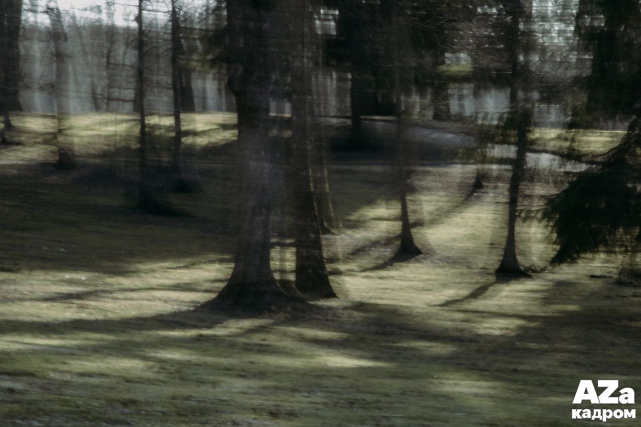 AZакадром Импрессинизм. Женский семейный фотограф Тула Москва Захарова Анна