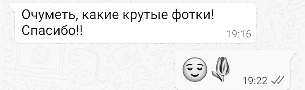 ОТЗЫВЫ. Репортажный фотограф Ольга Кочетова в Москве