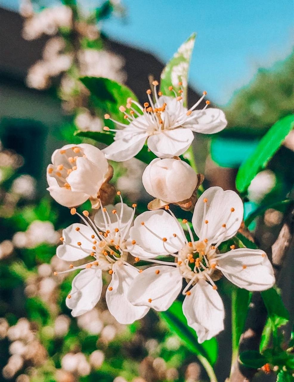 Взгляд сквозь объектив. Портретный фотограф город Уфа