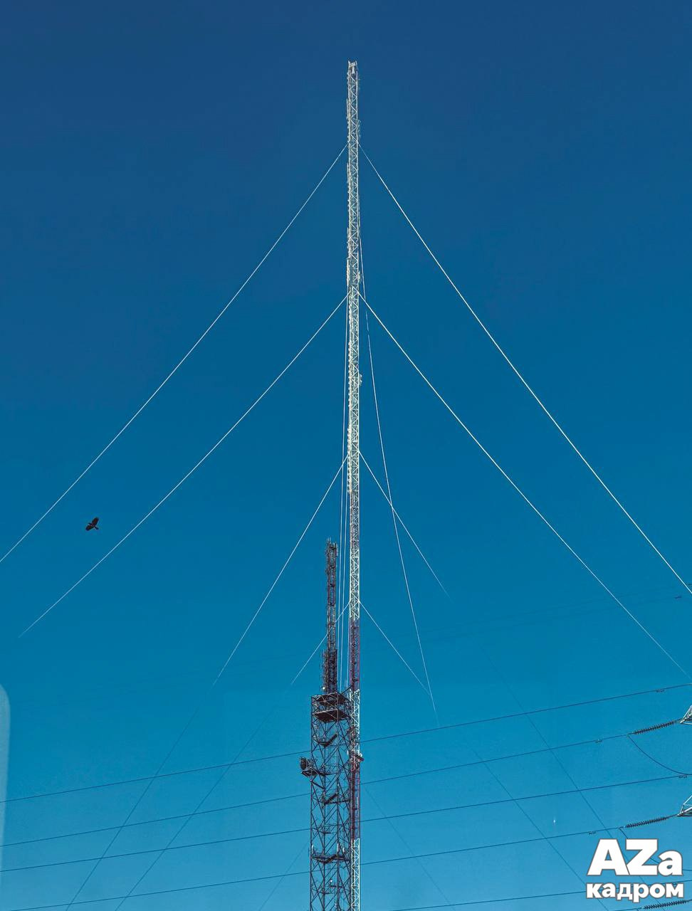 Фотофанты 02.02.2026. Женский семейный фотограф Тула Москва Захарова Анна