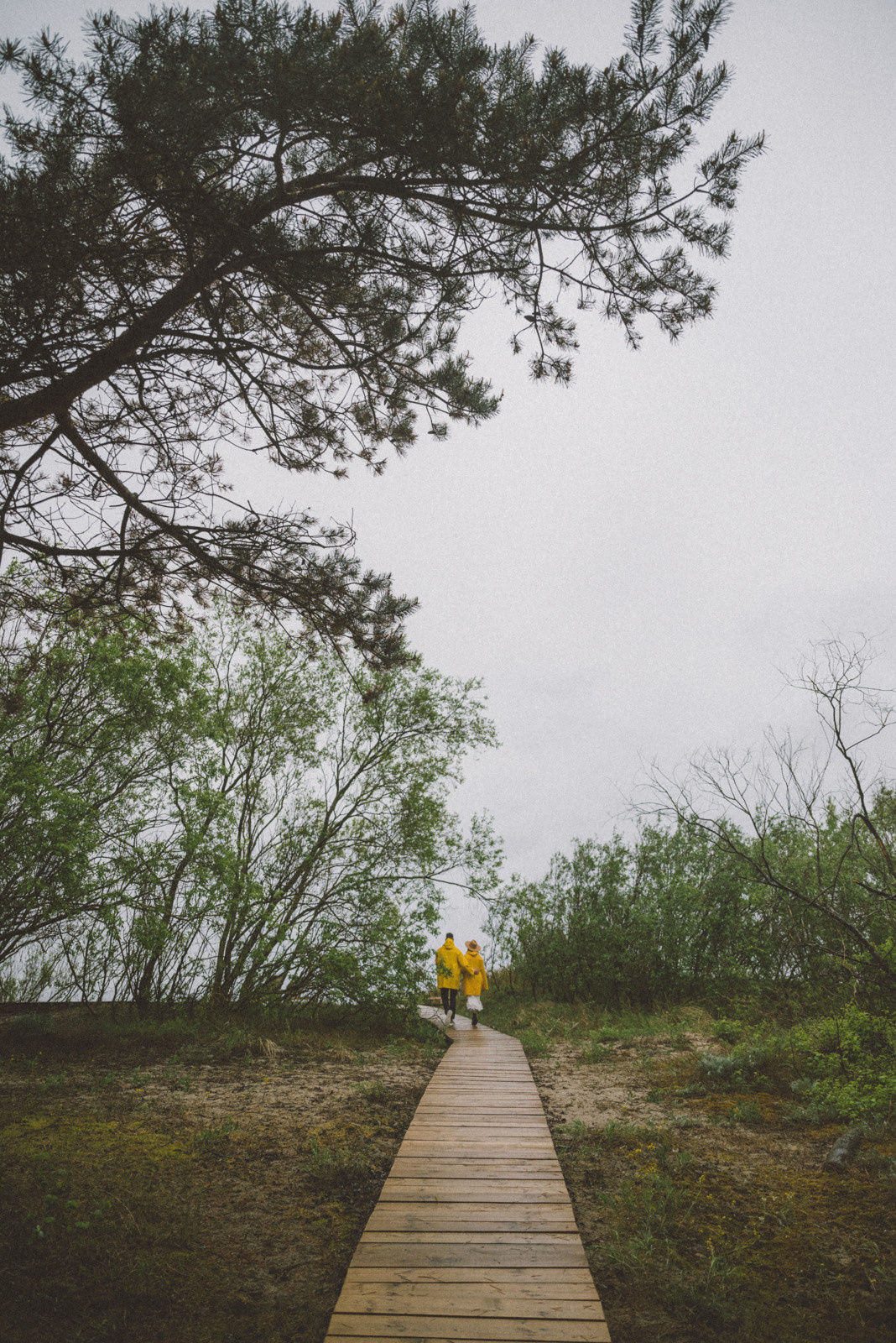 Анастасия и Валентин. Фотограф Калининград Ангелина Воробьева