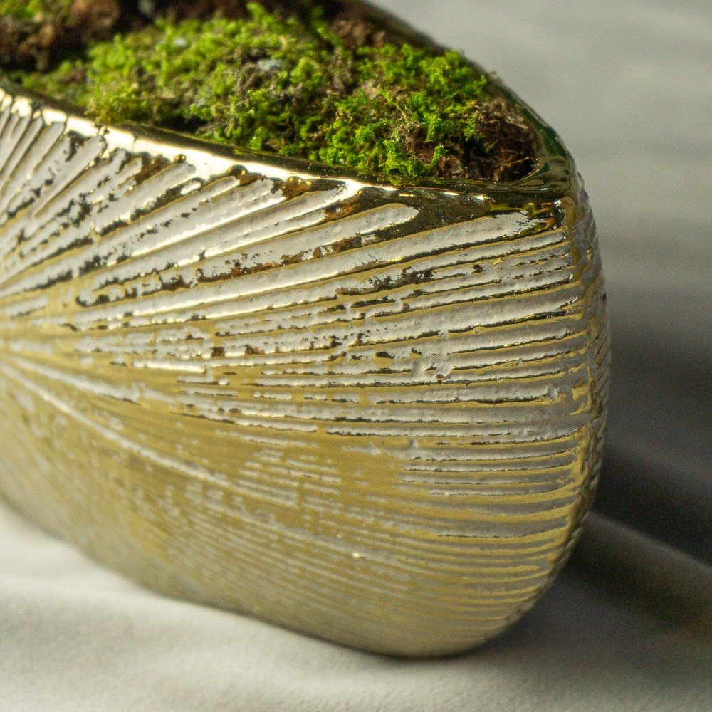 Керамические вазы в интерьере. Фотограф в Екатеринбурге Яна Круташова