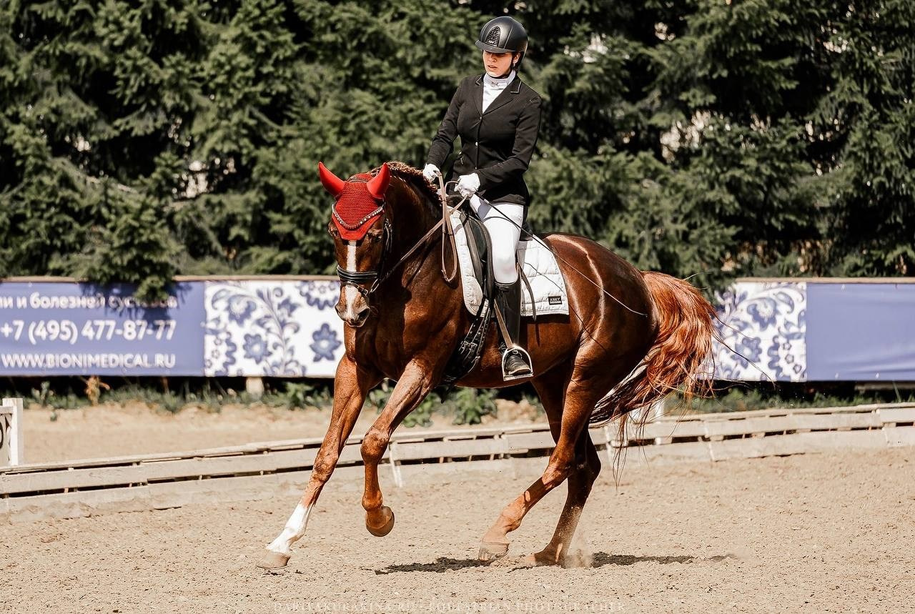 КУБОК по ВЫЕЗДКЕ КСК «РУССКИЙ АЛМАЗ». Конный фотограф Куракина Дарья • Фотосессии с лошадьми