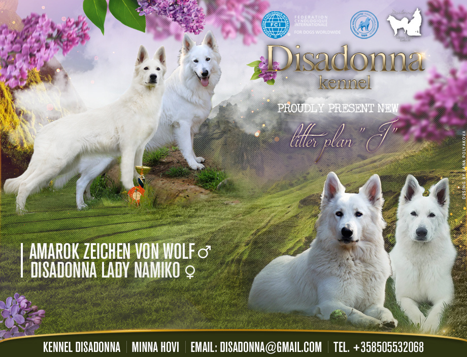 Презентация помета