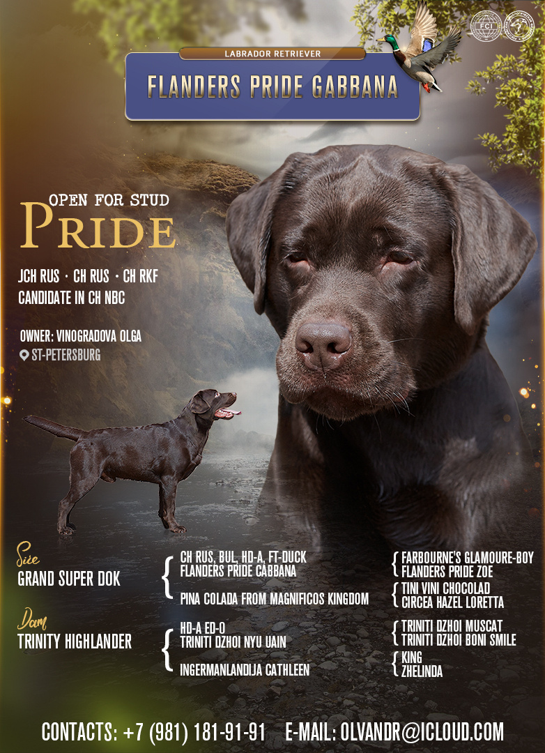 Презентация кобеля 