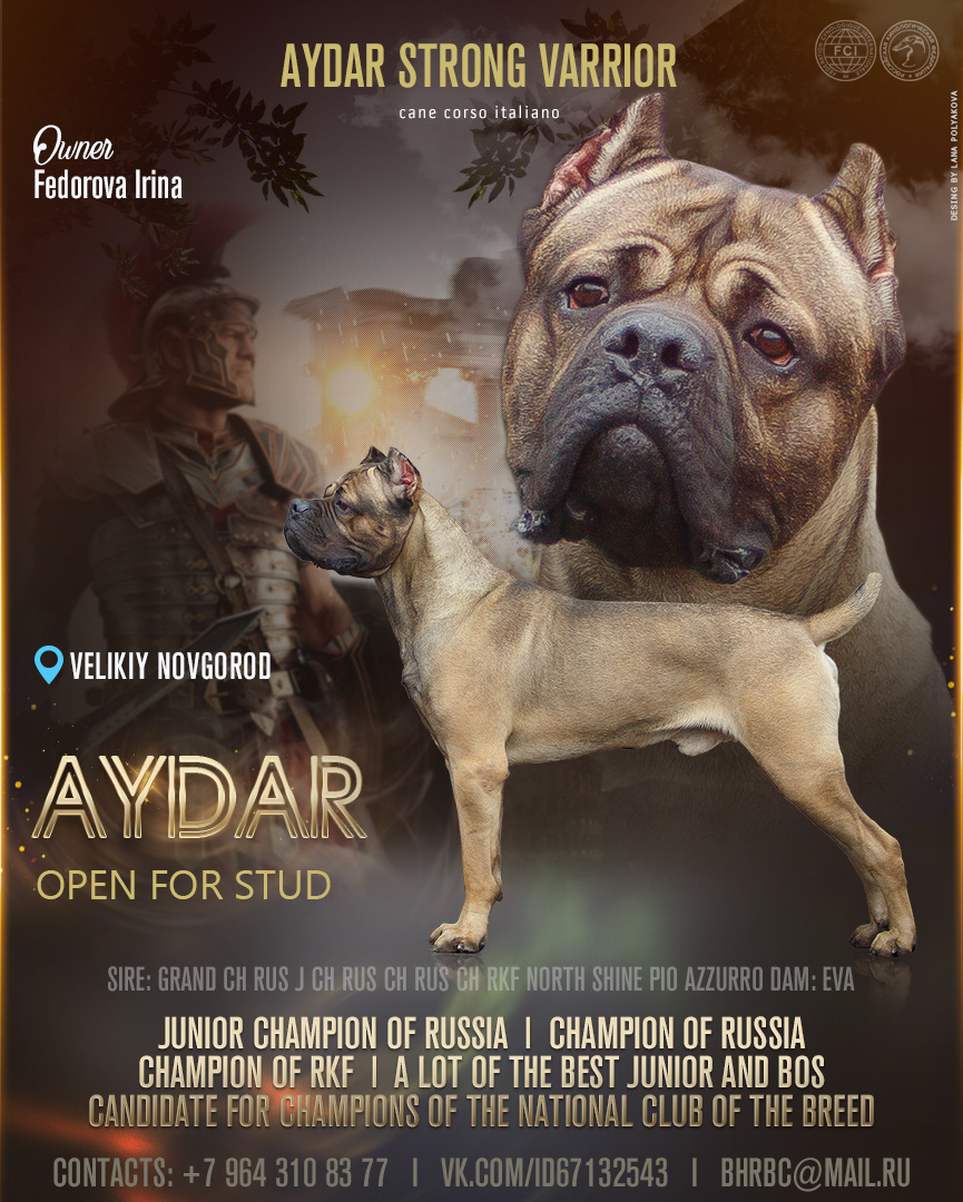 Презентация кобеля 