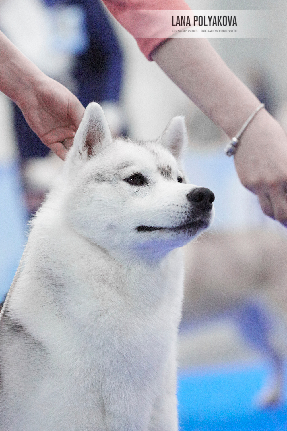 ЕВРАЗИЯ 2018. 1-2 день