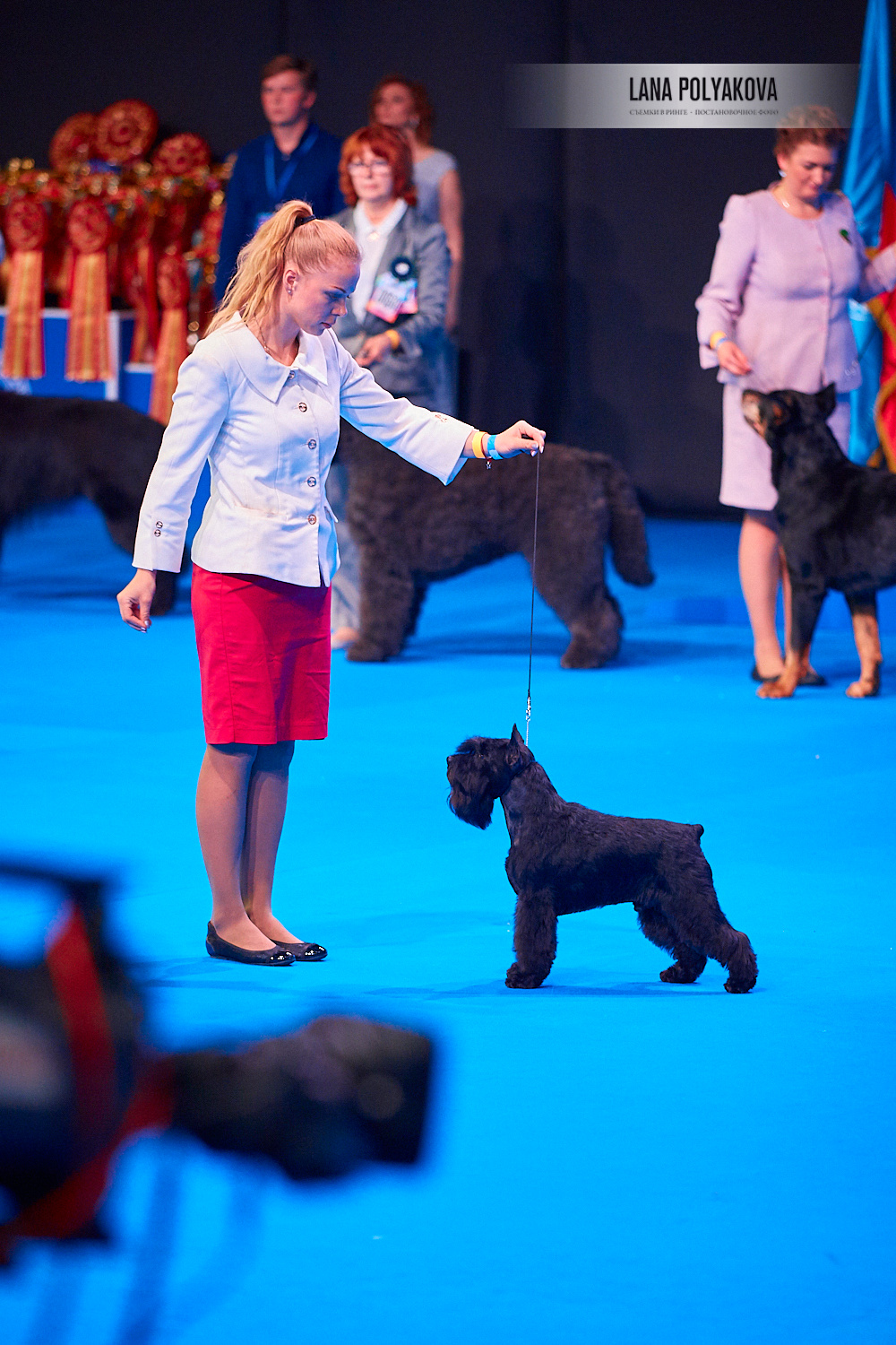 ЕВРАЗИЯ 2018. 1-2 день