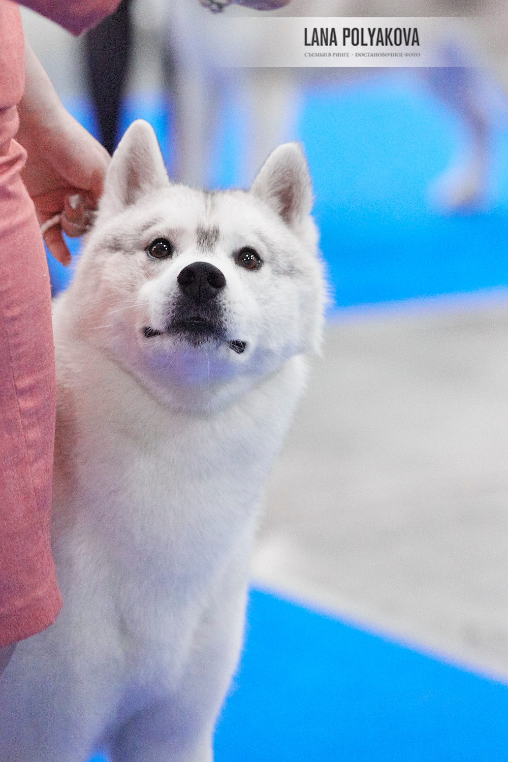 ЕВРАЗИЯ 2018. 1-2 день