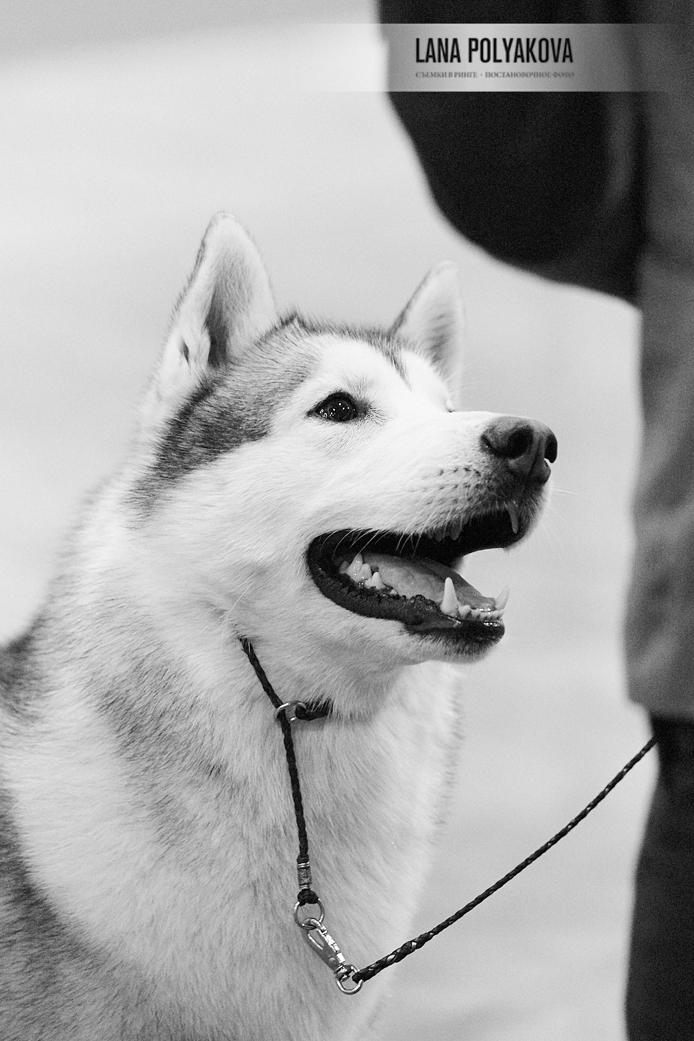 ЕВРАЗИЯ 2018. 1-2 день