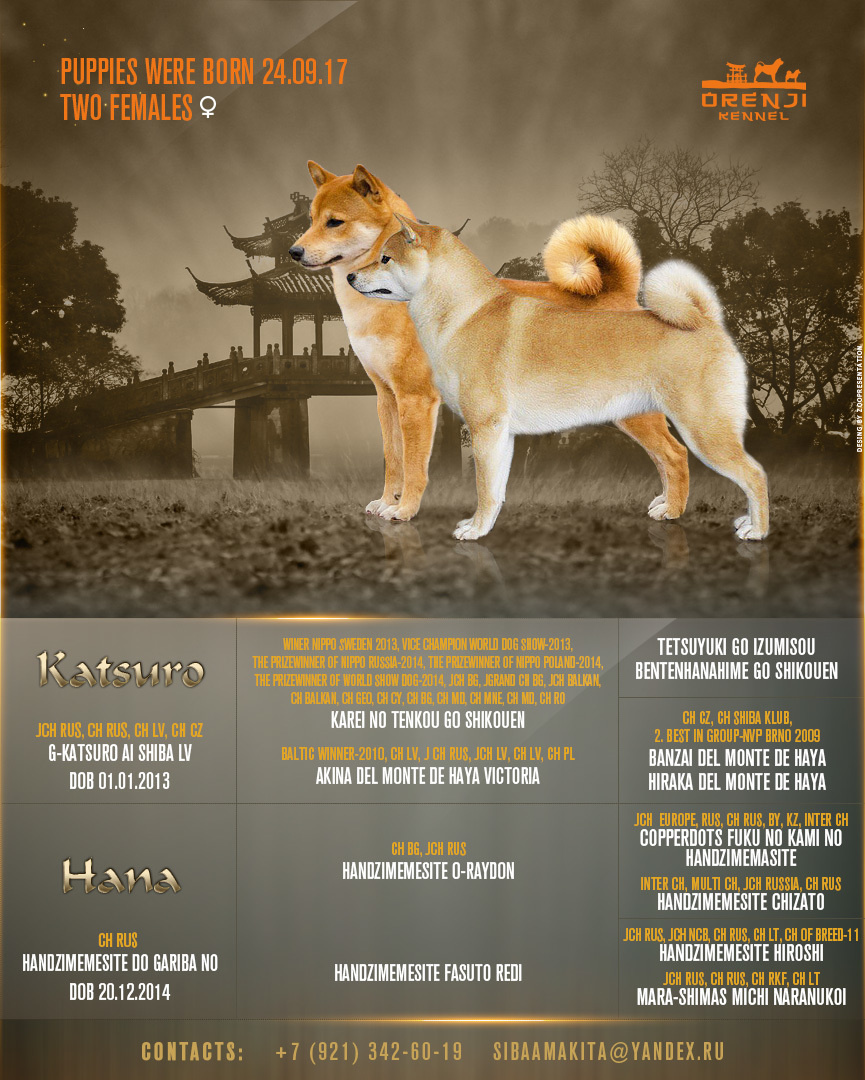 Презентация помета