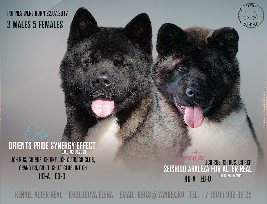 Презентация помета