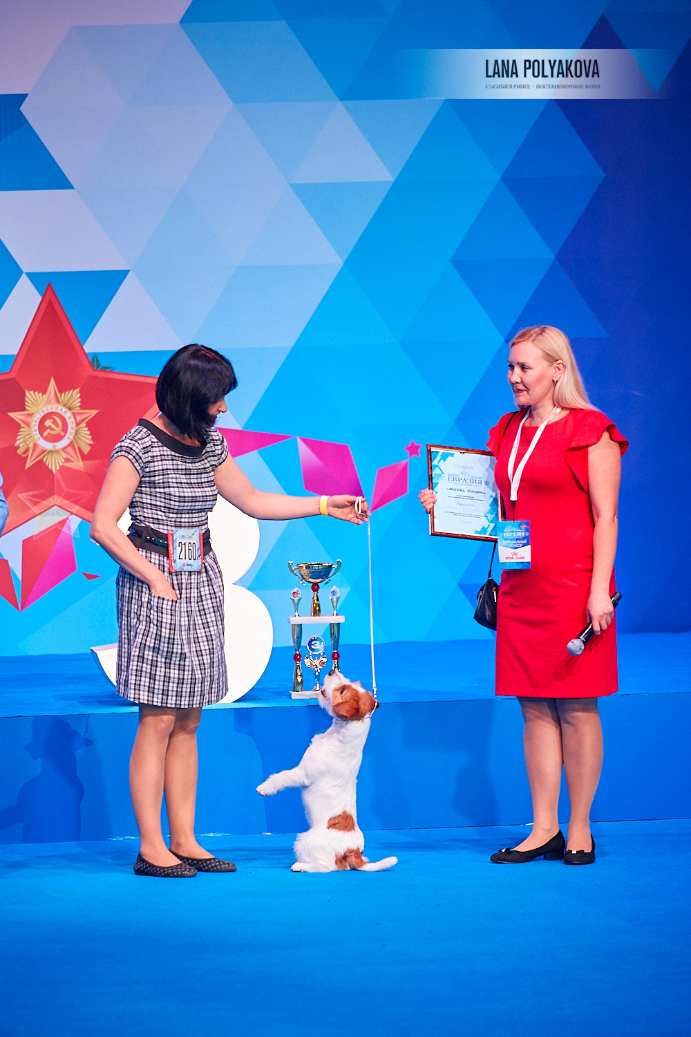 ЕВРАЗИЯ 2018. 1-2 день
Handler: Irina Degtyar