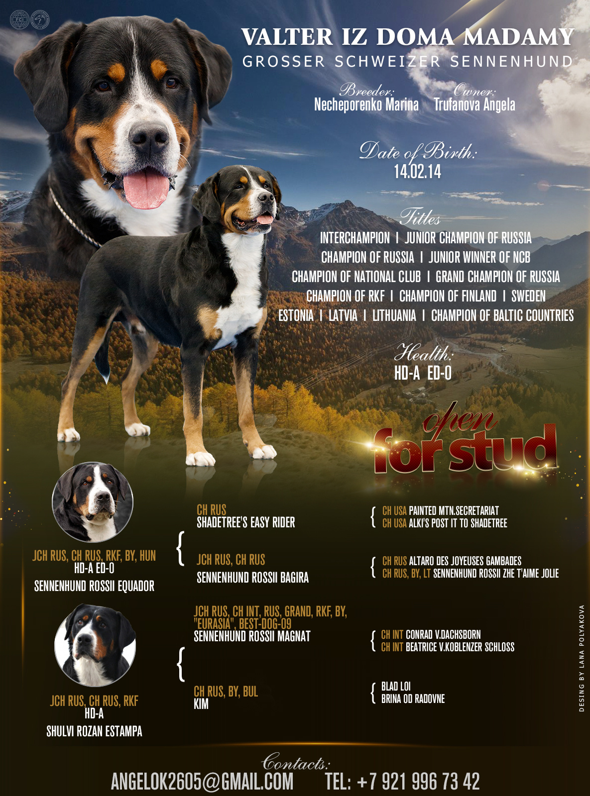 Презентация кобеля для вязок 