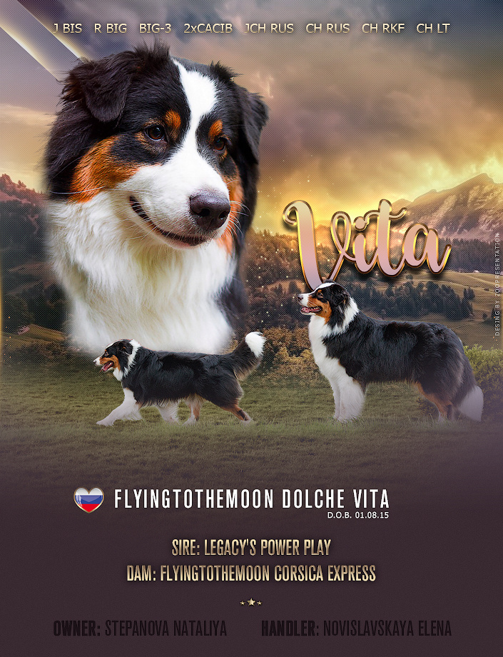 Презентация суки