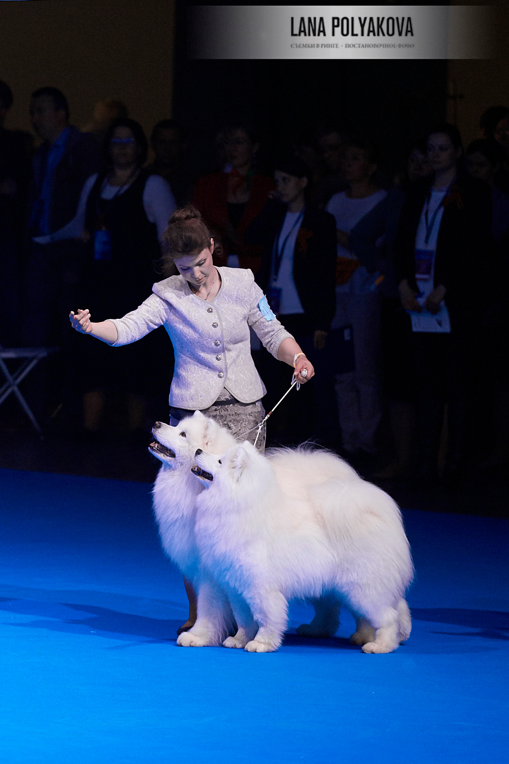 ЕВРАЗИЯ 2018. 1-2 день