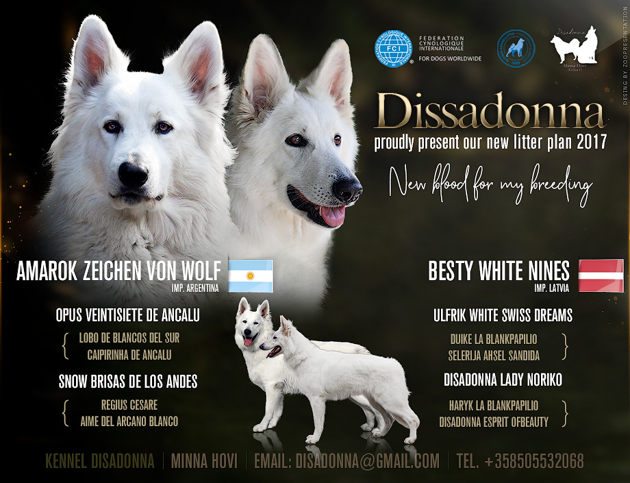 Презентация кобеля