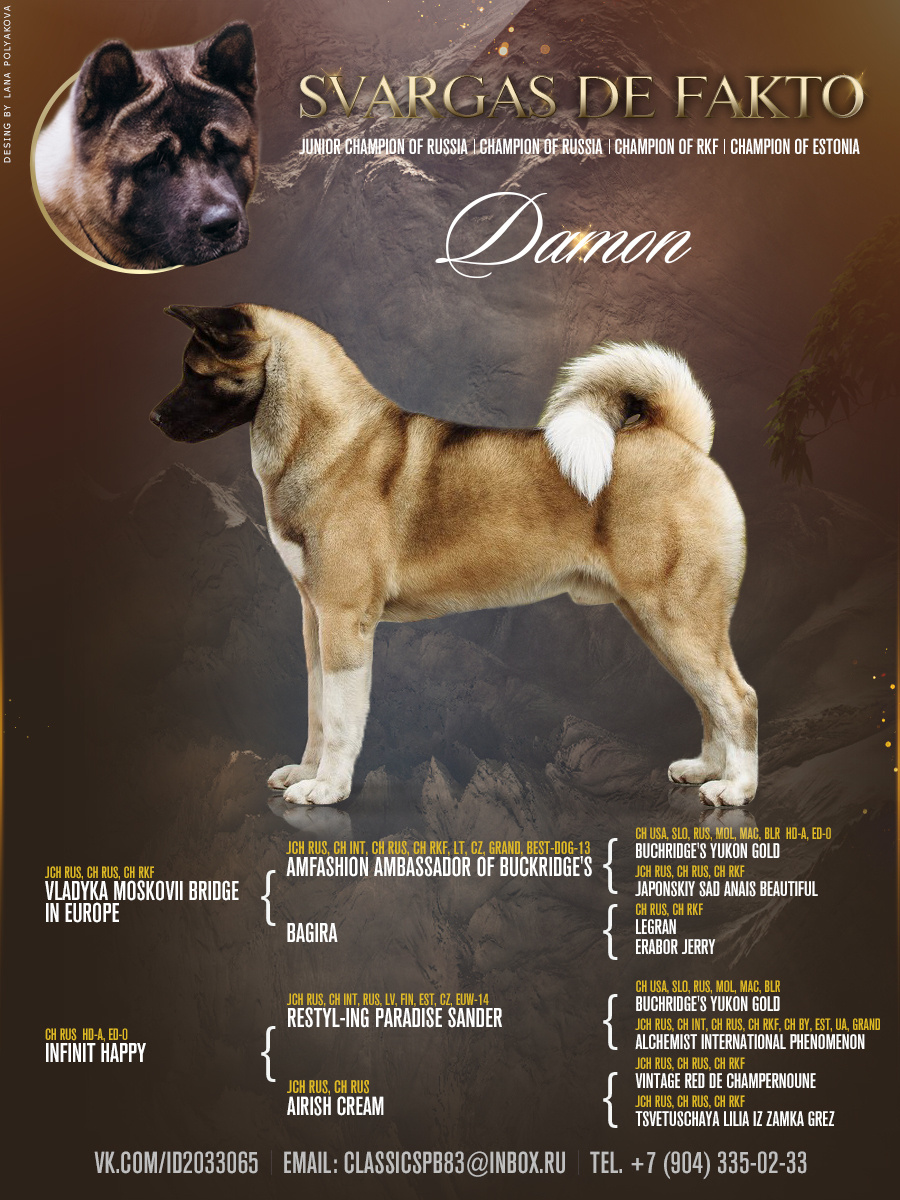 Презентация кобеля американской акиты