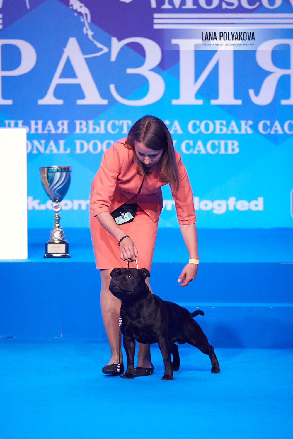 ЕВРАЗИЯ 2018. 1-2 день