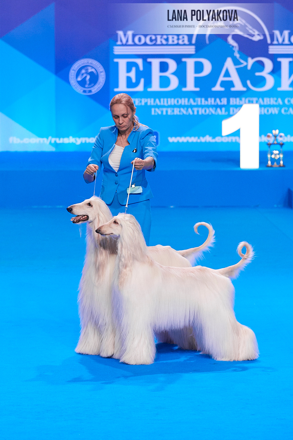 ЕВРАЗИЯ 2018. 1-2 день
Handler: Yana Nevskaya