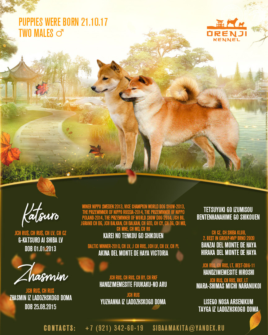 Презентация помета