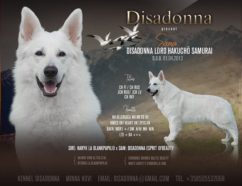 Презентация кобеля