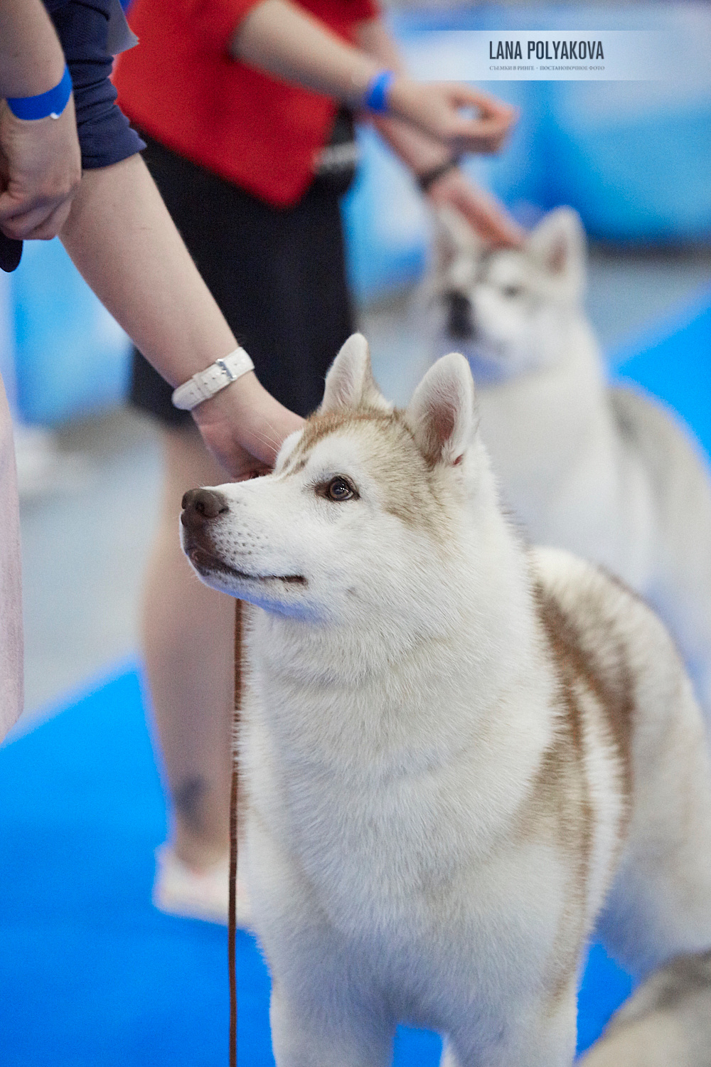 ЕВРАЗИЯ 2018. 1-2 день