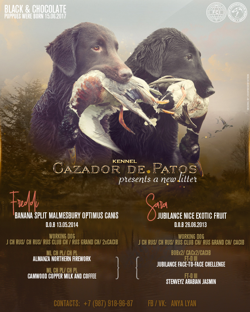 Презентация помета