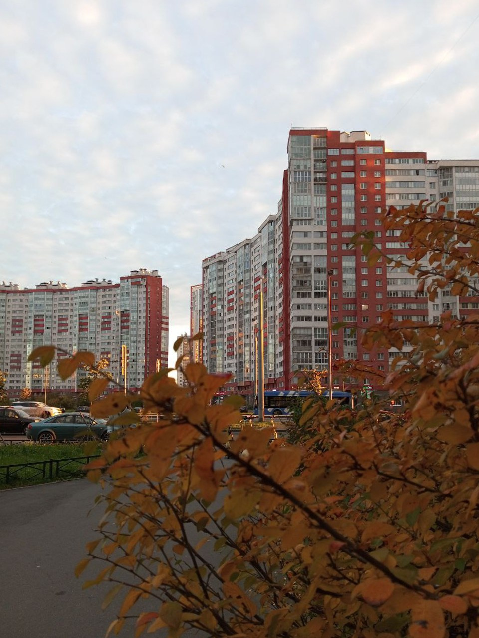 Красуйся, град Петров!. Фотокружок «Видоискатель» ГБОУ СОШ № 291