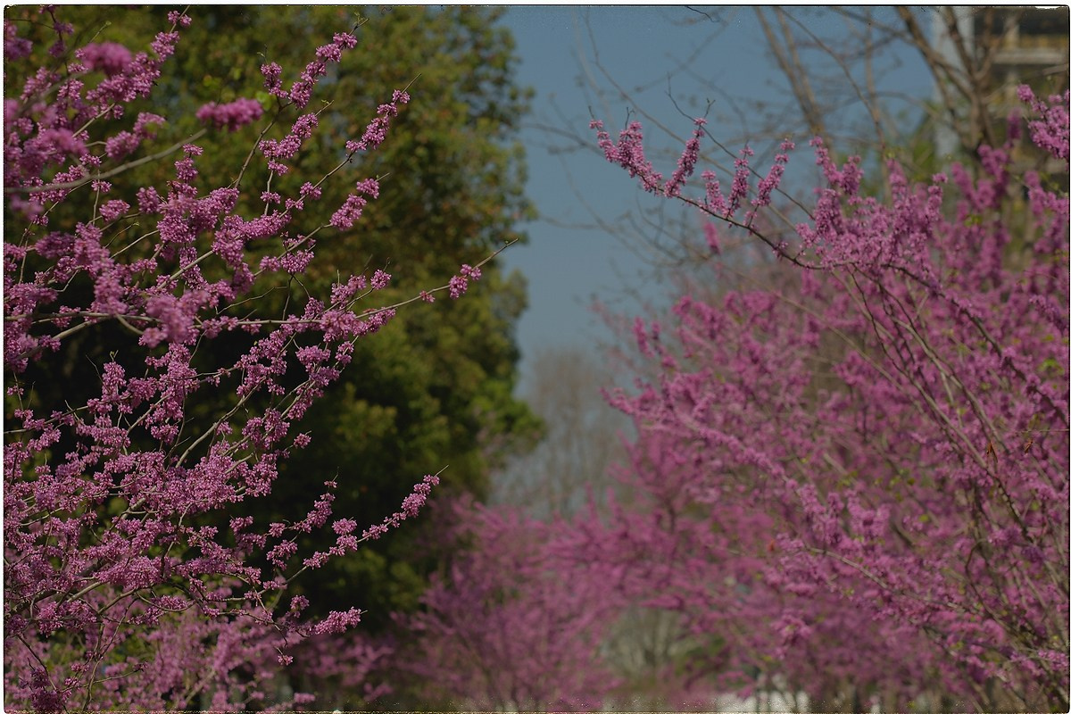 Китай. Портретный и репортажный фотограф в Санкт-Петербурге Дарья Сибирякова