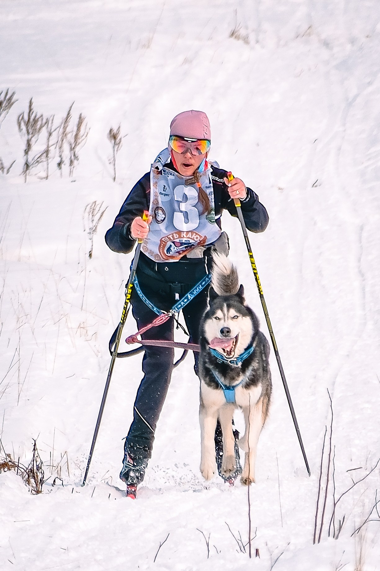 Фестиваль ездового спорта. Фотограф. г. Южно-Сахалинск. Олег Толстов