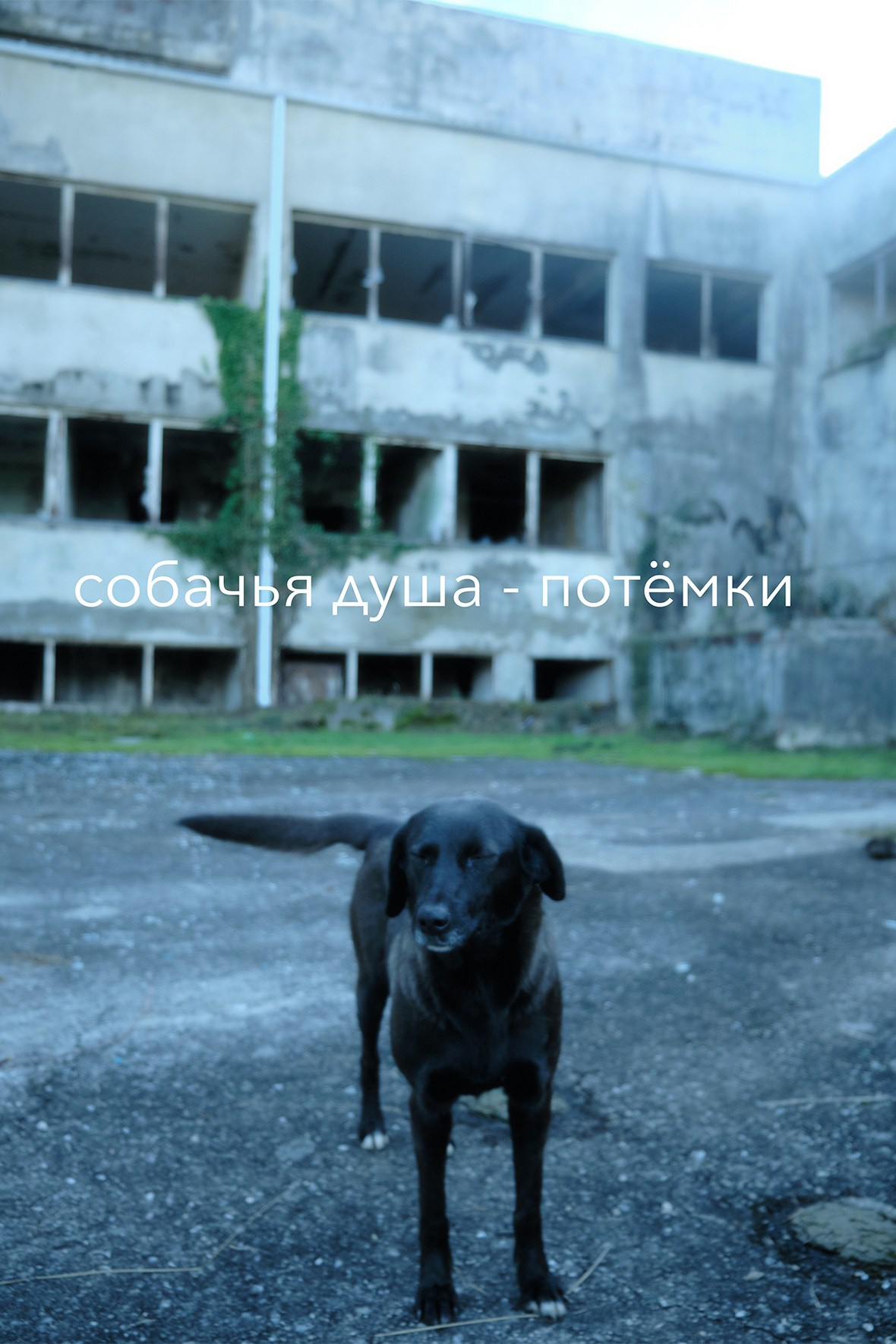 Фотокарточки. Izma photos