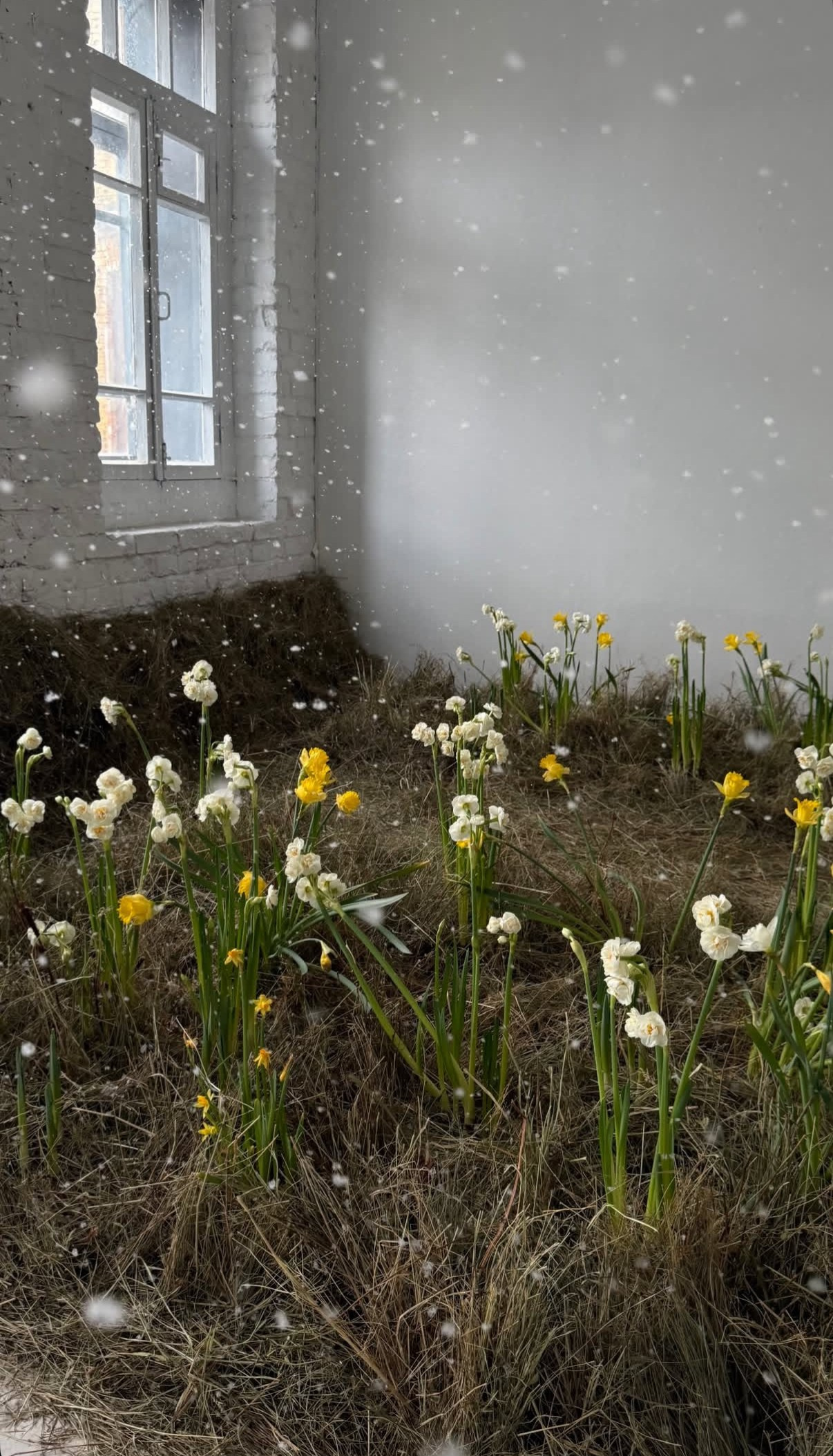 Фотостудия МОХ зал Свет. Фотограф Настя Лев