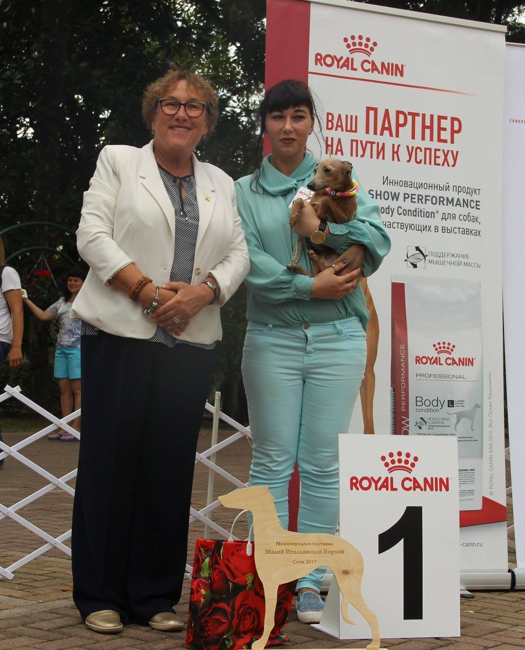 Организация монопородной выставки. Профессиональный питомник левреток РКФ/FCI ASTI SAPPHIRE 💎 Сочи|Санкт-Петербург