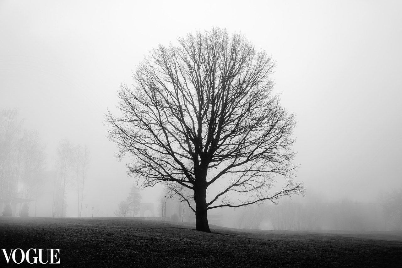 Шиндлер. Фотограф Зиновьев Илья, Москва