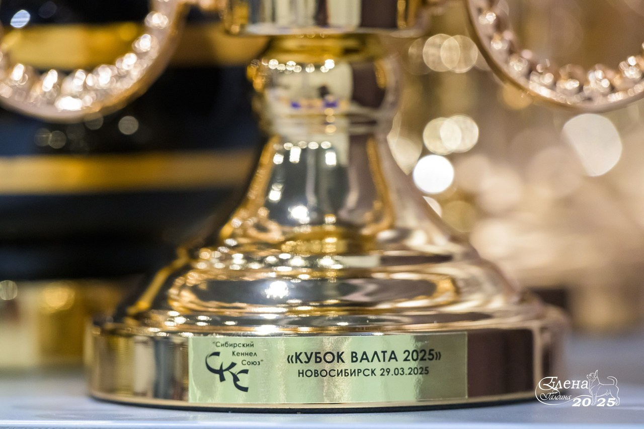 Отзывы. Фотограф анималист Елена Галдина г. Красноярск