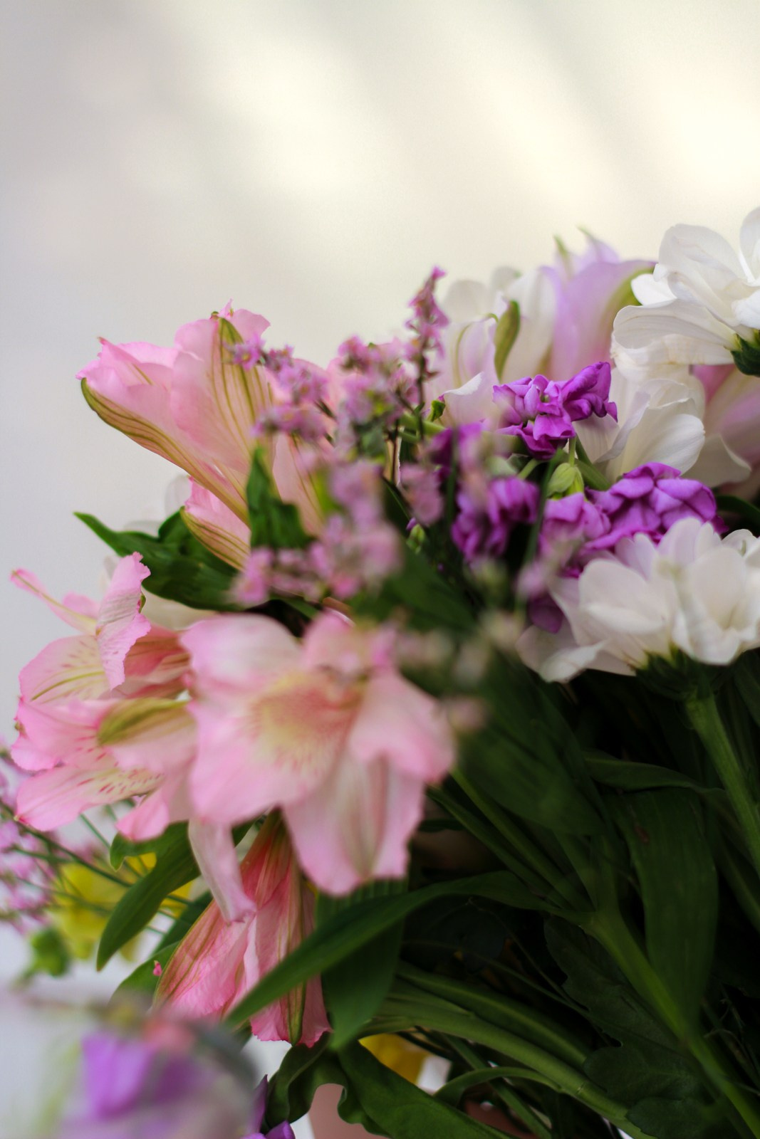 Выездное день рождение. Фотограф Надршина Лилия