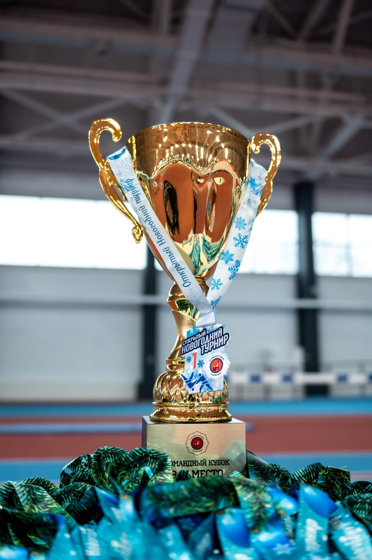 Спортивный фотограф Тула. Спортивный фотограф в Туле и Тульской области. Файсханова Фото Спорт