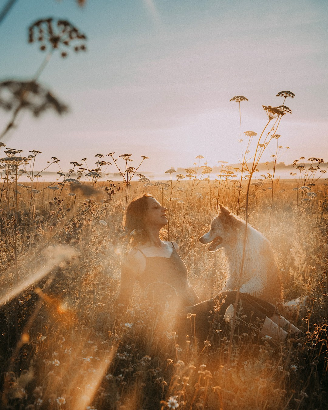 Рина и Марси. Фотограф анималист в Москве и Санкт-Петербурге Свиридова Анна